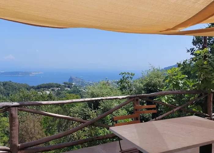 La Casetta Nel Bosco Barano d'Ischia photo